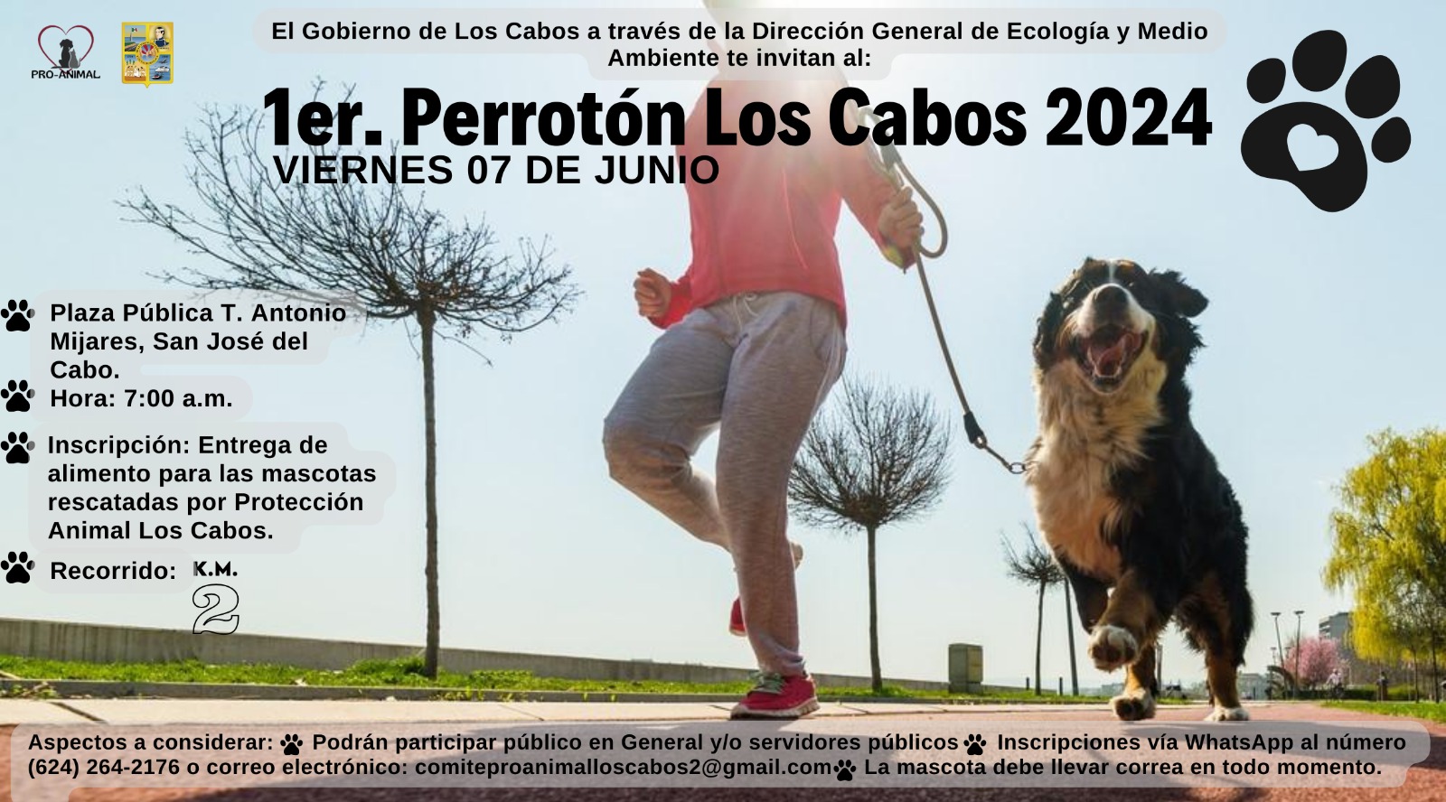 Realizarán 1er. Perrotón Los Cabos - BItácora BCS