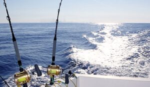 PESCA DEPORTIVA, LOS CABOS.