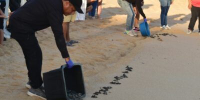 Continúa Los Cabos acciones para preservación del medio ambiente