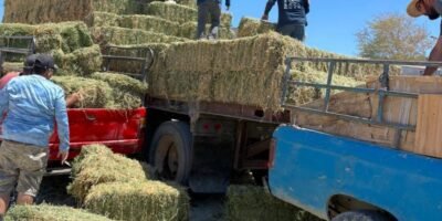 Invitan a ganaderos de Los Cabos a inscribirse en programa de apoyo por sequía