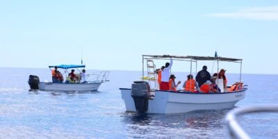 Inicia el programa de excursión de avistamiento de ballenas para infancias: DIF Los Cabos