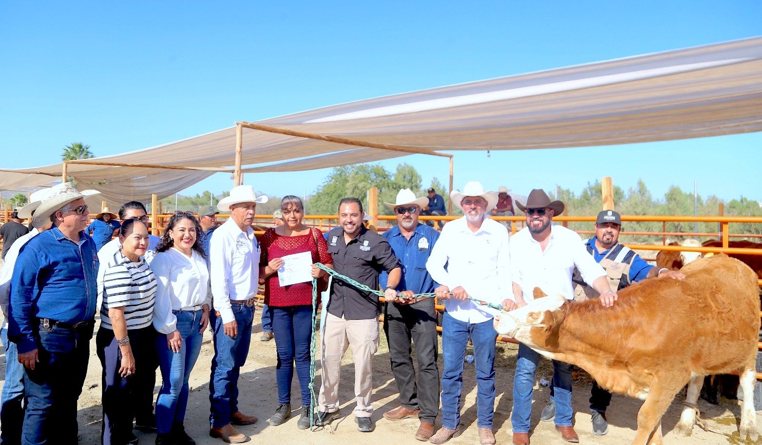 APOYO SECTOR GANADERO