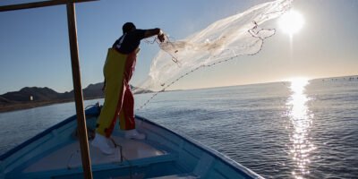 Iniciará SEPADA recepción de solicitudes para apoyos pesqueros y acuícolas 2026