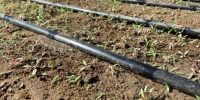 Implementa SEPADA estrategias para el uso eficiente del agua