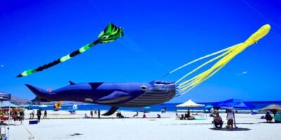 Realizan en Los Cabos el Dibufestival del Papalote en playa El Tule