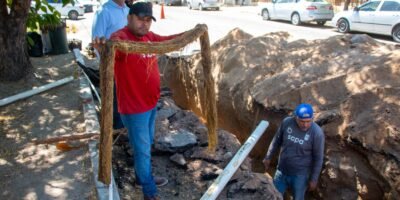 Atiende SAPA obstrucción por raíces en tubería de colonia Guerrero
