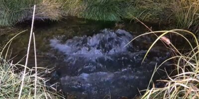 Atiende SAPA La Paz ruptura de acueducto en inmediaciones del TEC