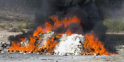 Destruye FGR más de 2.6 toneladas de droga en Baja California Sur