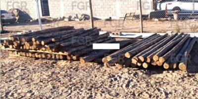 Vinculan a proceso a hombre por presunto comercio ilegal de madera en Mulegé: FGR
