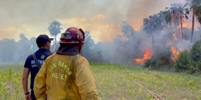 Logran autoridades extinguir por completo el incendio de los palmares de Santa Rosa