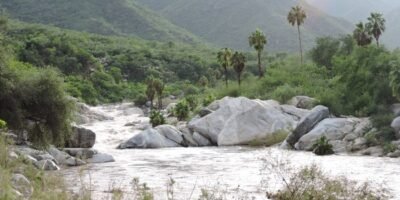 Sierra de la Laguna en la mira: reanudan mesa de diálogo para su protección en BCS