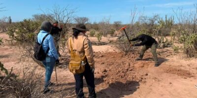 Localizan seis fragmentos de restos óseos durante jornada de búsqueda en Comondú