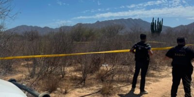 Localizan inhumaciones clandestinas en zona «La Ballena», en Los Cabos