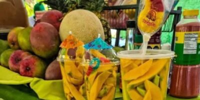 Todo listo para el inicio del Festival del Mango en Todo SantoS