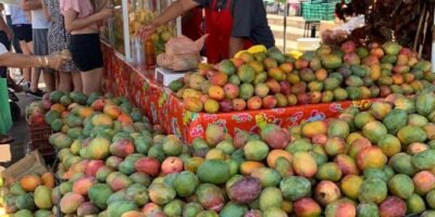 Todo listo para disfrutar del Festival del Mango en Todos Santos