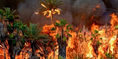 Identifican responsables de incendio en San José de Comondú