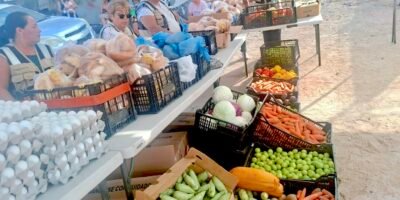 Entregan apoyos alimentarios a familias de Cabo San Lucas