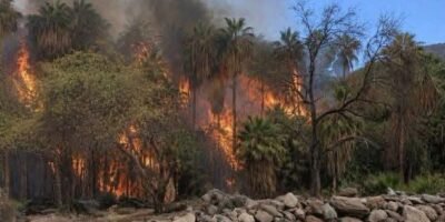 Incendio forestal permanece fuera de control en San José de Comondú; movilizan a los tres órdenes de gobierno