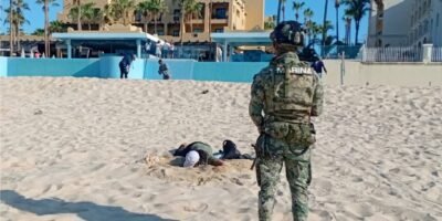 Recuperan alrededor de 10 mil huevos de tortuga en Cabo San Lucas