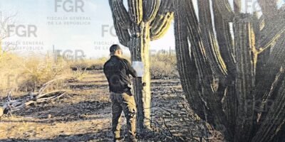 Tres hombres son vinculados a proceso por daños en predio de El Centenario; FGR
