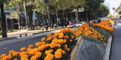 Inicia oficialmente el otoño en México; bajarán las temperaturas pero no habrá cambio de horario
