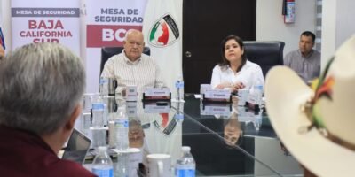 Mantiene Gobierno de BCS vigilancia ante riesgo de gusano barrenador