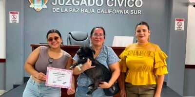 Buscan promover la adopción de mascotas entre extranjeros que visitan Baja California Sur