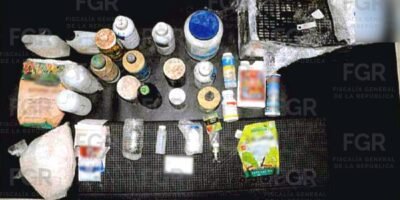 Vinculan a proceso a dos personas por cultivo de marihuana en Los Cabos