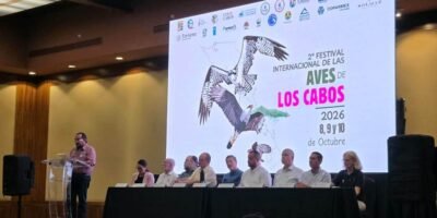 Celebran el Segundo Festival Internacional de las Aves de Los Cabos 2026