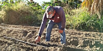 Baja California Sur se coloca en el tercer puesto nacional en empleo agropecuario remunerado