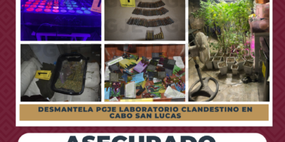 Localizan presunto laboratorio clandestino de drogas en cateo de Cabo San Lucas